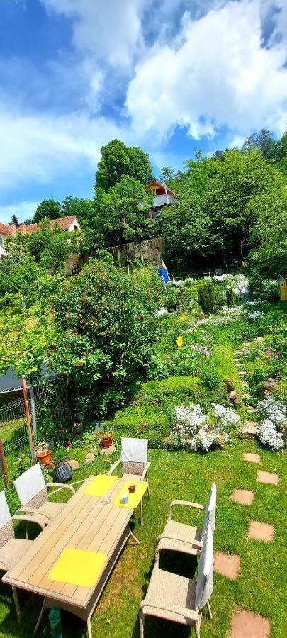 Appartamento Casa Sperantei Sighişoara Esterno foto