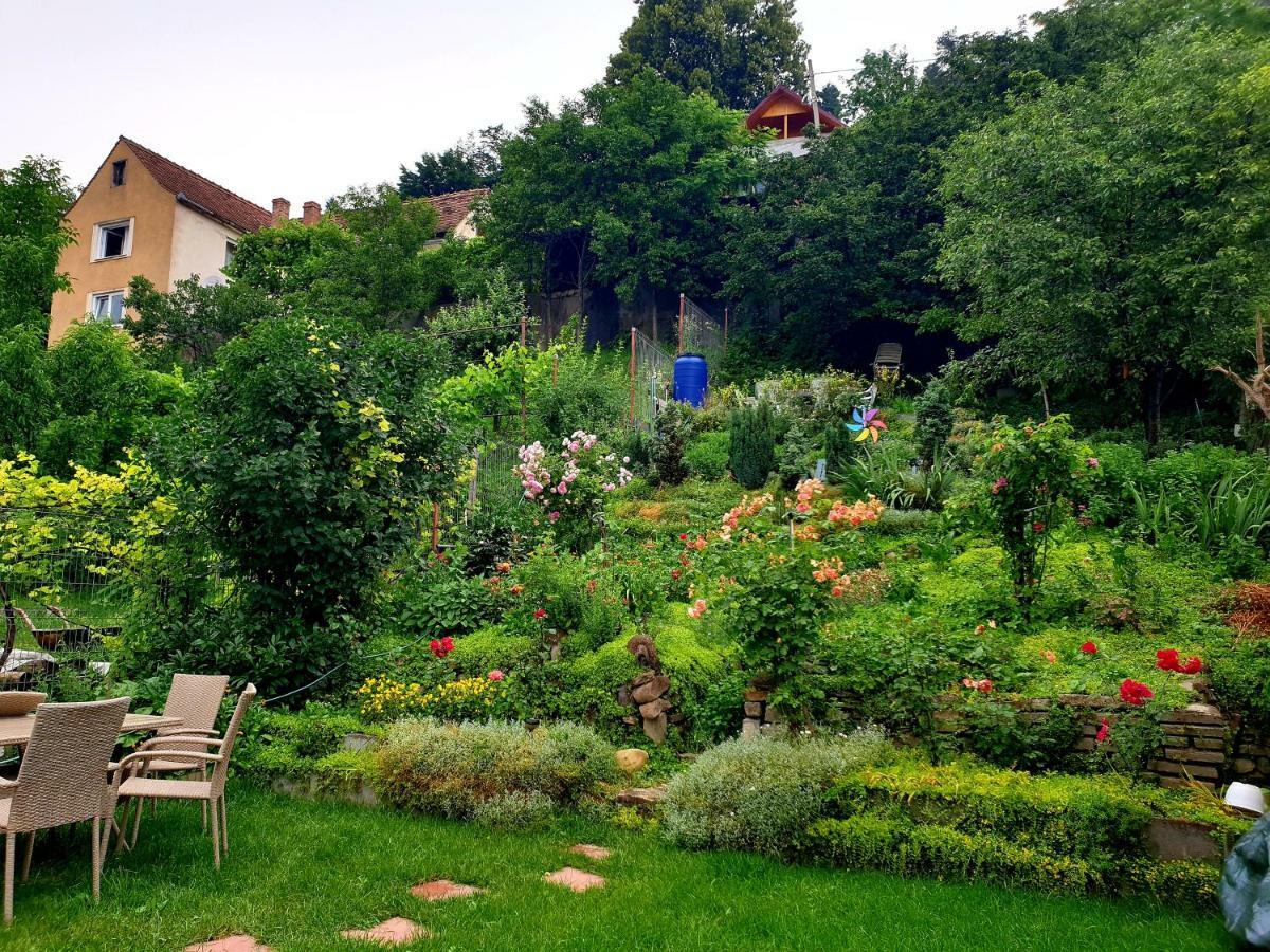 Appartamento Casa Sperantei Sighişoara Esterno foto